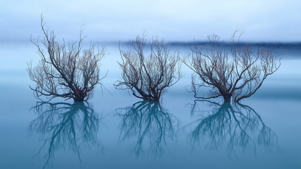 Обои небо, деревья, озеро, отражение, ветки, горизонт, the sky, trees, lake, reflection, branches, horizon разрешение 2048x1365 Загрузить