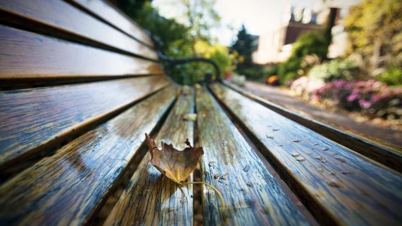 Обои макро, парк, капли, осень, лист, скамейка, macro, park, drops, autumn, sheet, bench разрешение 1930x1206 Загрузить