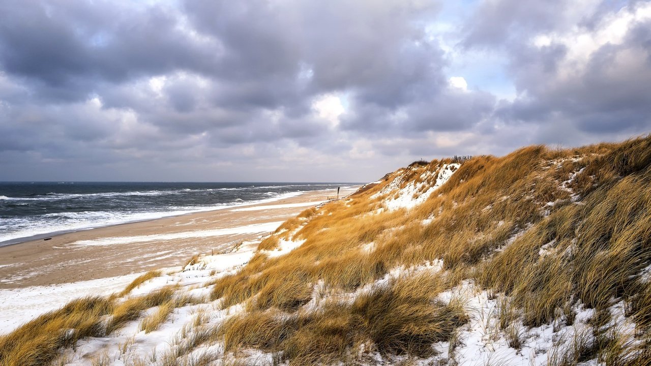 Обои небо, трава, зима, море, пляж, дюны, the sky, grass, winter, sea, beach, dunes разрешение 2048x1365 Загрузить