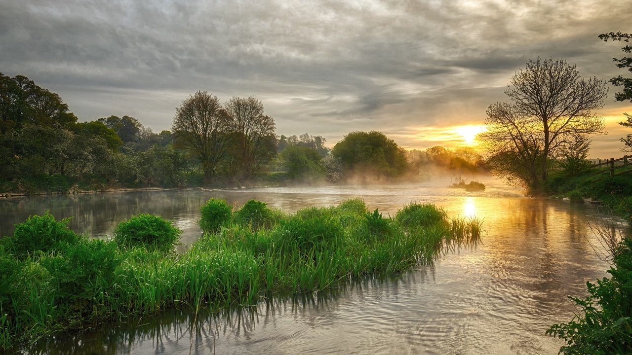 Обои озеро, растения, пейзаж, утро, рассвет, lake, plants, landscape, morning, dawn разрешение 2048x1298 Загрузить