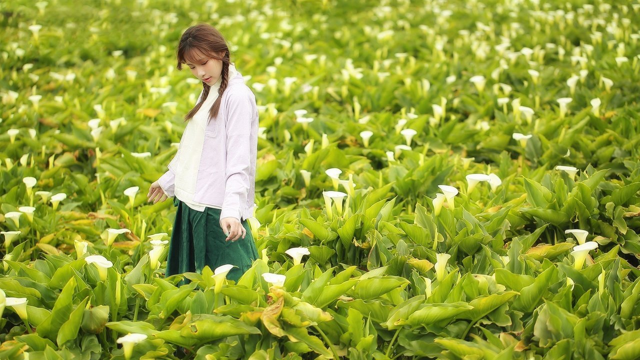 Обои цветы, поле, лето, лицо, прогулка, азиатка, косички, flowers, field, summer, face, walk, asian, braids разрешение 2048x1365 Загрузить