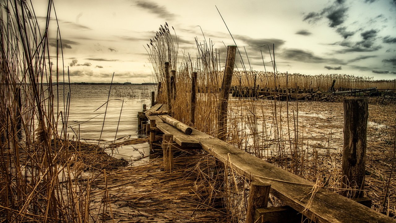 Обои река, пейзаж, мост, пасмурно, камыш, river, landscape, bridge, overcast, reed разрешение 2578x1440 Загрузить