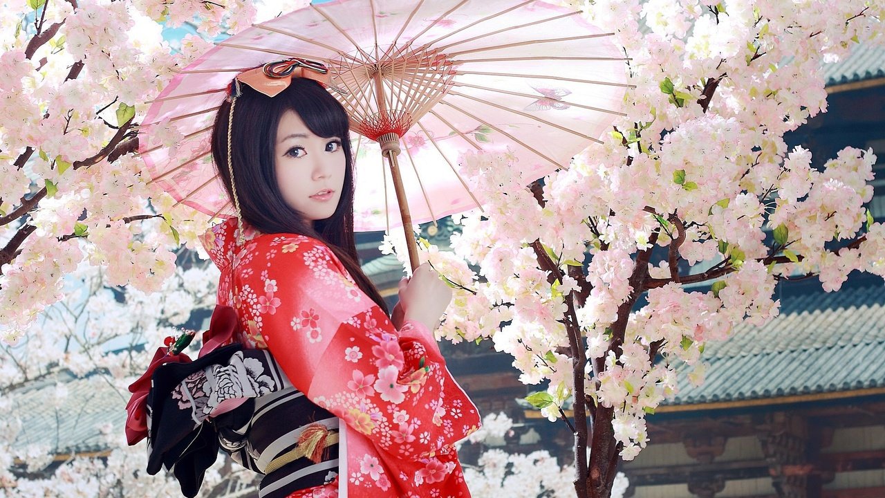 Обои девушка, взгляд, волосы, сакура, зонтик, кимоно, азиатка, гейша, girl, look, hair, sakura, umbrella, kimono, asian, geisha разрешение 2048x1365 Загрузить