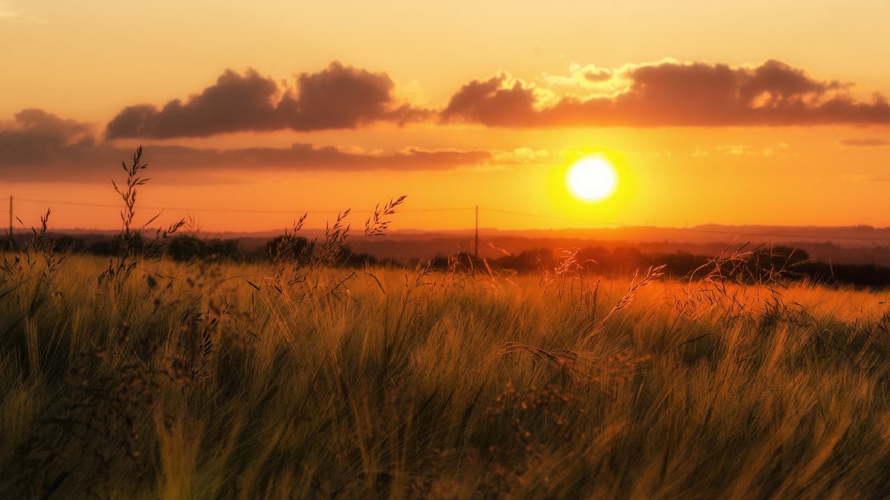 Обои трава, облака, закат, поле, горизонт, долина, оранжевое небо, grass, clouds, sunset, field, horizon, valley, orange sky разрешение 2048x1137 Загрузить