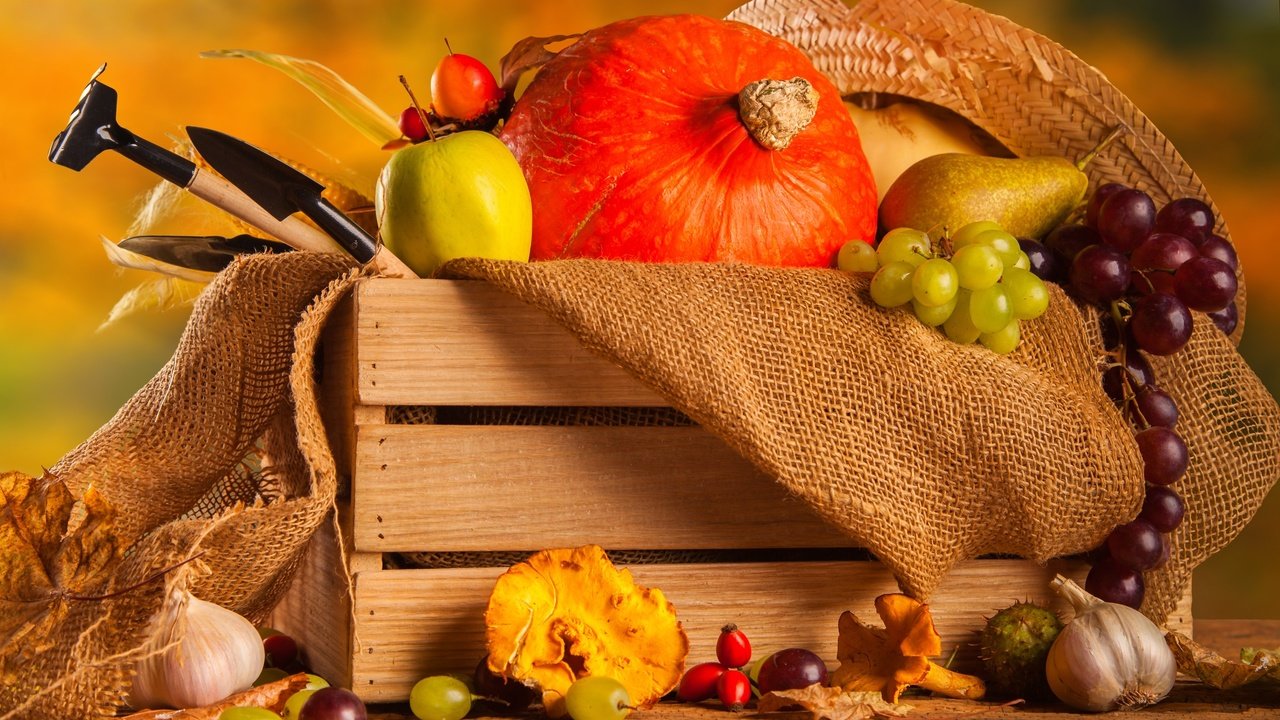 Обои виноград, груша, фрукты, чеснок, осень, мешковина, яблоко, осенний урожай, урожай, овощи, тыква, ящик, grapes, pear, fruit, garlic, autumn, burlap, apple, autumn harvest, harvest, vegetables, pumpkin, box разрешение 2555x1600 Загрузить