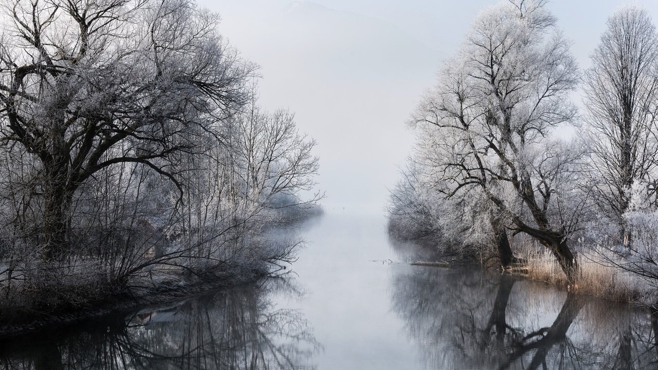 Обои деревья, река, зима, отражение, туман, ветки, чёрно-белое, trees, river, winter, reflection, fog, branches, black and white разрешение 2048x1365 Загрузить