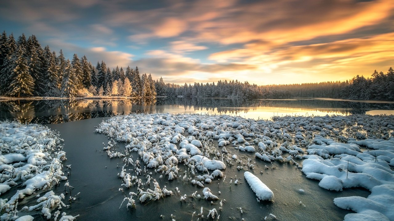 Обои небо, озеро, снег, лес, зима, утро, швейцария, the sky, lake, snow, forest, winter, morning, switzerland разрешение 2499x1562 Загрузить