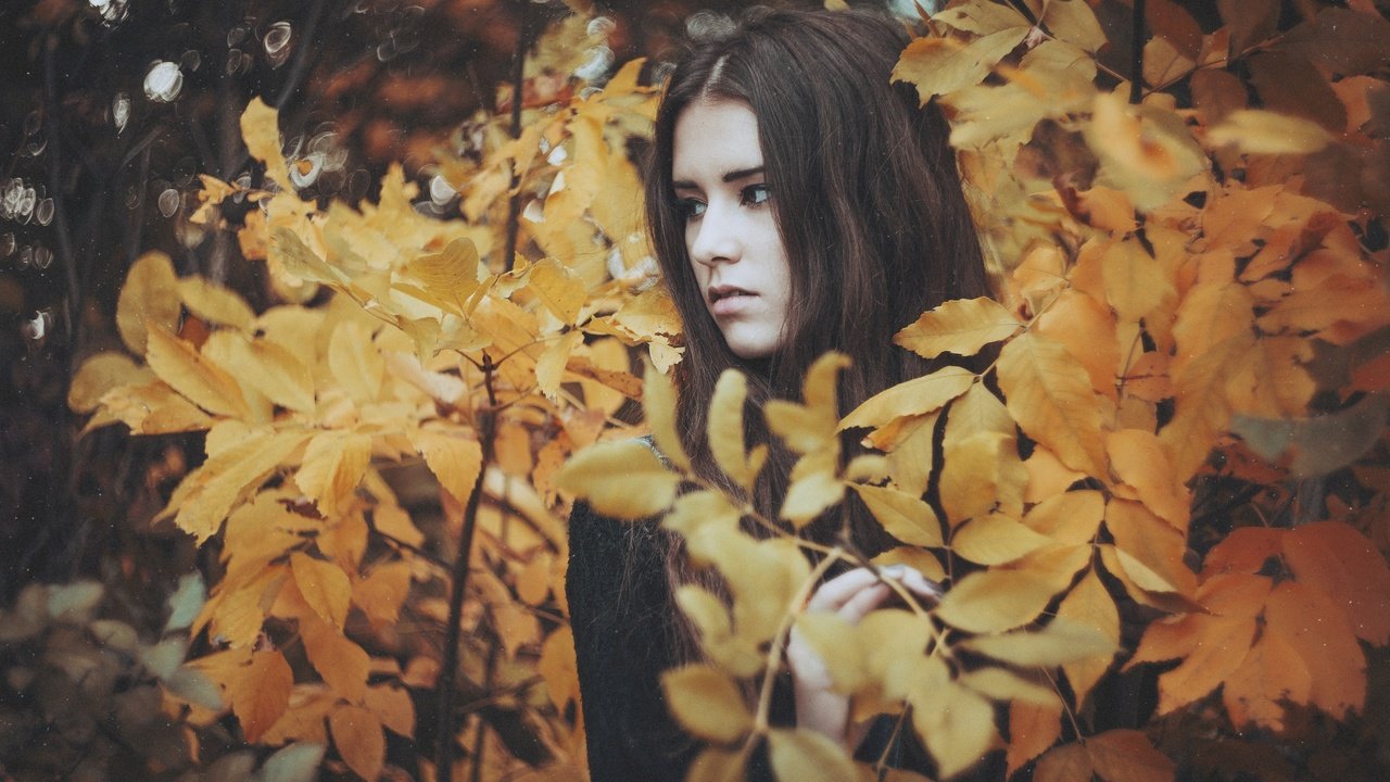 Обои природа, листья, девушка, брюнетка, взгляд, осень, nature, leaves, girl, brunette, look, autumn разрешение 2048x1367 Загрузить