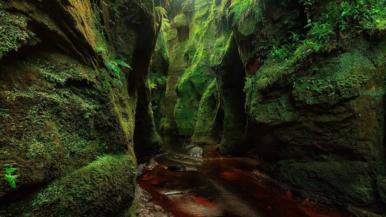 Обои скалы, камни, зелень, ручей, мох, шотландия, finnich glen, rocks, stones, greens, stream, moss, scotland разрешение 2000x1250 Загрузить