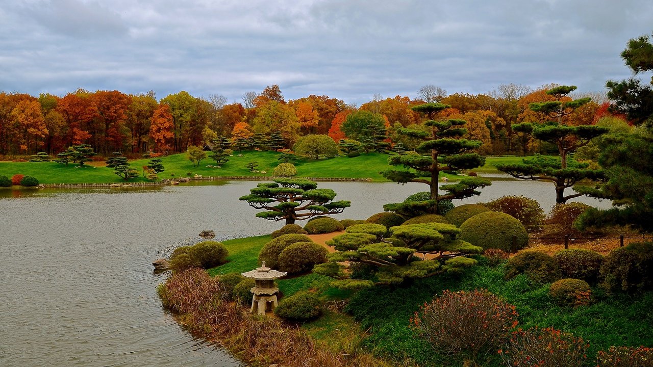 Обои трава, чикаго, деревья, botanic garden, дизайн, парк, кусты, осень, сша, пруд, grass, chicago, trees, design, park, the bushes, autumn, usa, pond разрешение 2525x1500 Загрузить