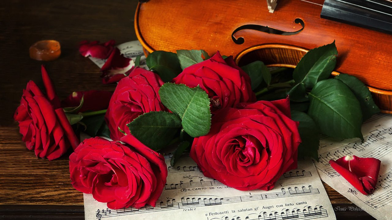 Обои цветы, розы, ноты, скрипка, лист, музыкальный инструмент, flowers, roses, notes, violin, sheet, musical instrument разрешение 1980x1113 Загрузить