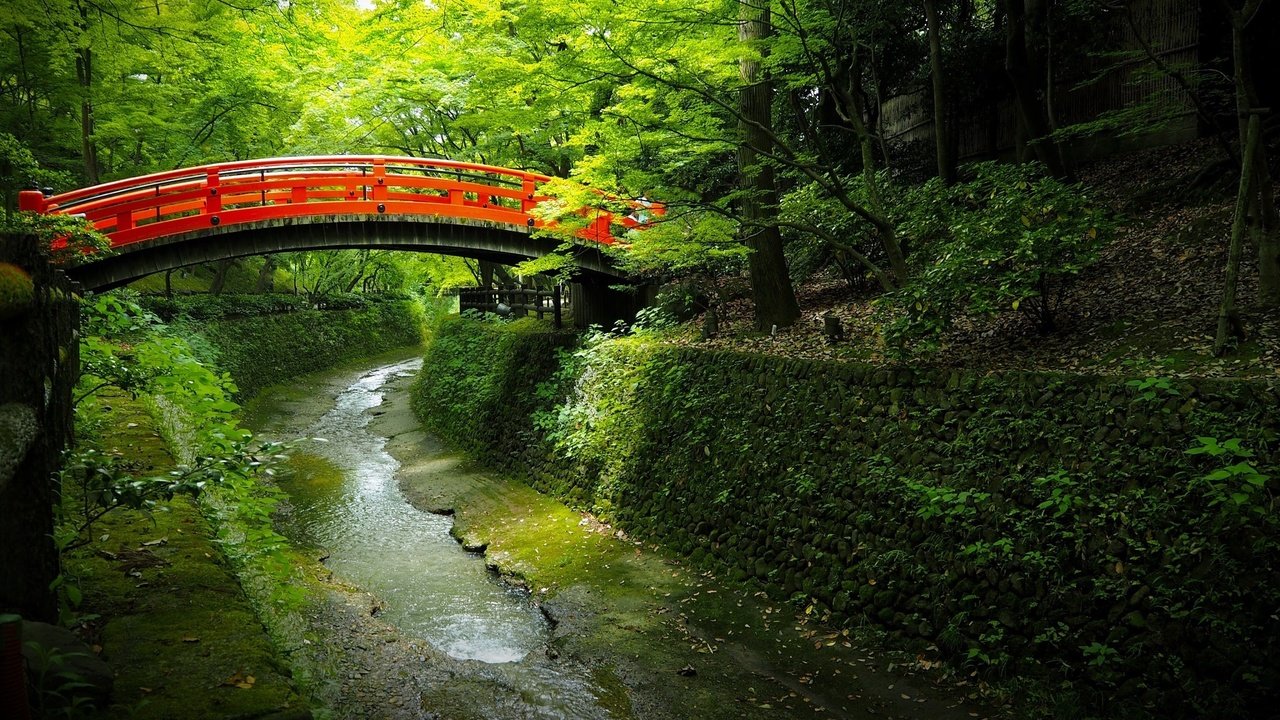 Обои деревья, вода, мостик, парк, канал, япония, trees, water, the bridge, park, channel, japan разрешение 2048x1152 Загрузить