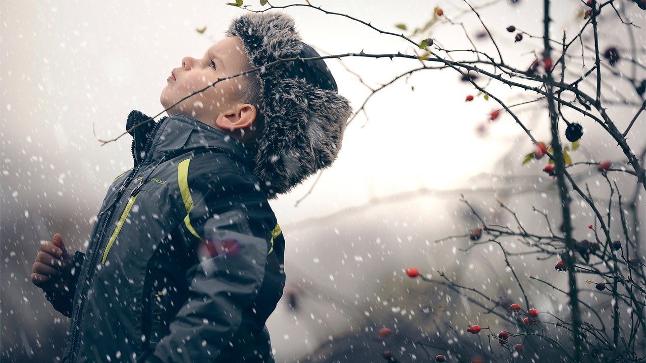 Обои снег, зима, ветки, шиповник, ягоды, ребенок, мальчик, snow, winter, branches, briar, berries, child, boy разрешение 1920x1277 Загрузить