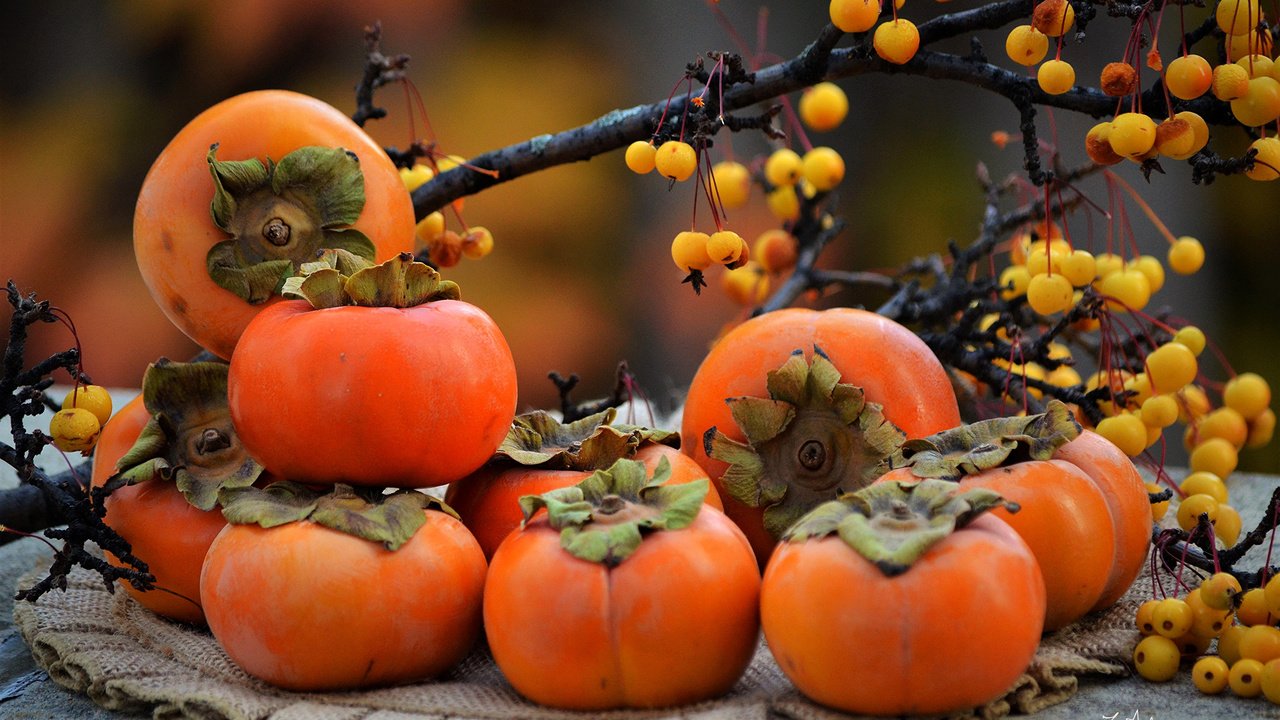 Обои ветки, фрукты, осень, ягоды, салфетка, хурма, branches, fruit, autumn, berries, napkin, persimmon разрешение 2860x1895 Загрузить