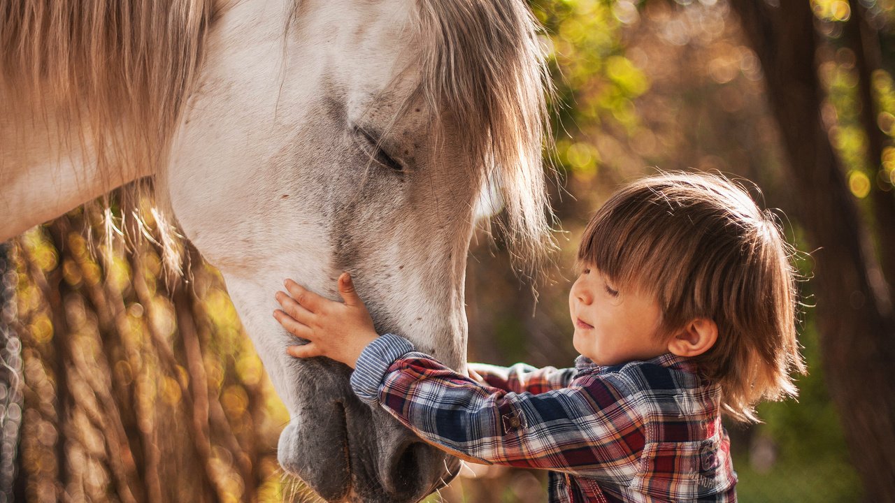Обои лошадь, природа, ребенок, мальчик, животное, конь, agnieszka gulczynska, horse, nature, child, boy, animal разрешение 4761x3330 Загрузить