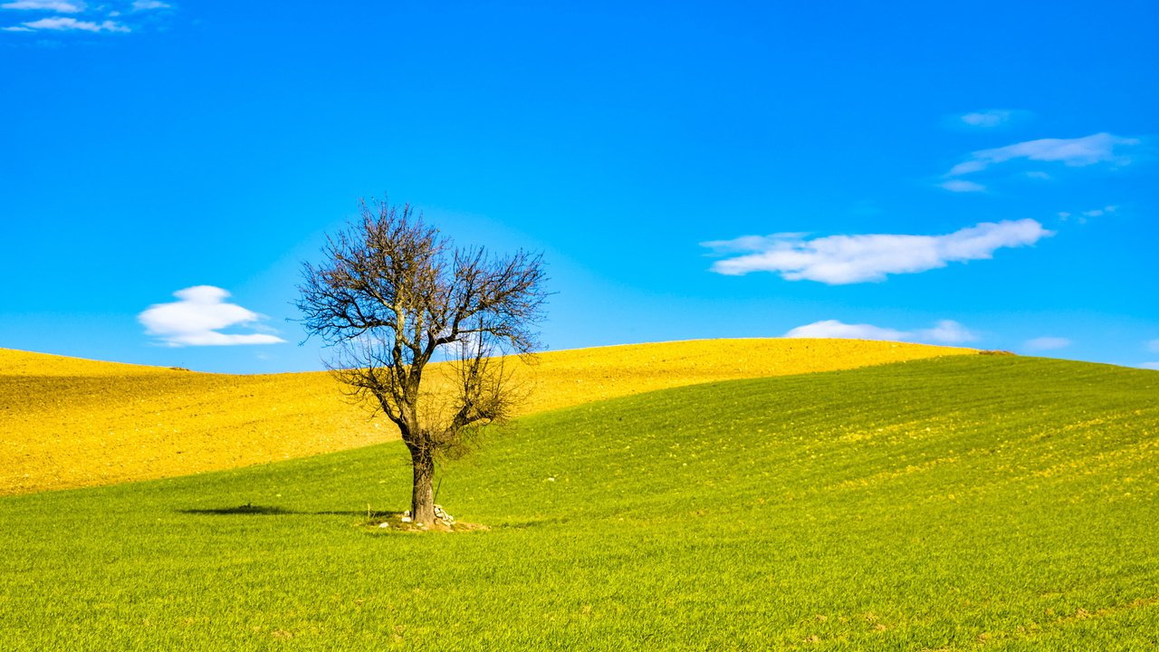 Обои небо, облака, холмы, природа, дерево, поле, италия, the sky, clouds, hills, nature, tree, field, italy разрешение 2048x1365 Загрузить