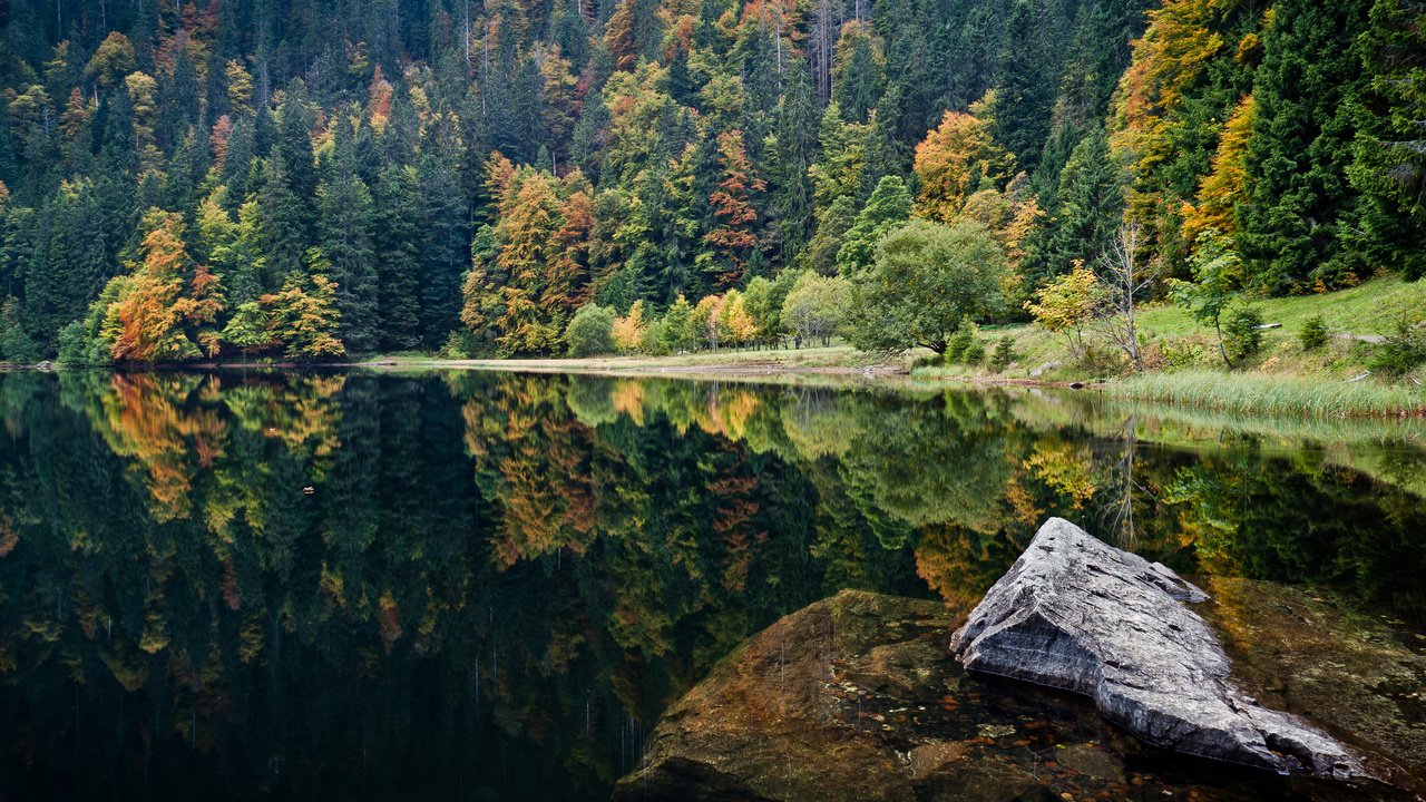 Обои озеро, природа, камни, отражение, пейзаж, леса, lake, nature, stones, reflection, landscape, forest разрешение 4285x2411 Загрузить