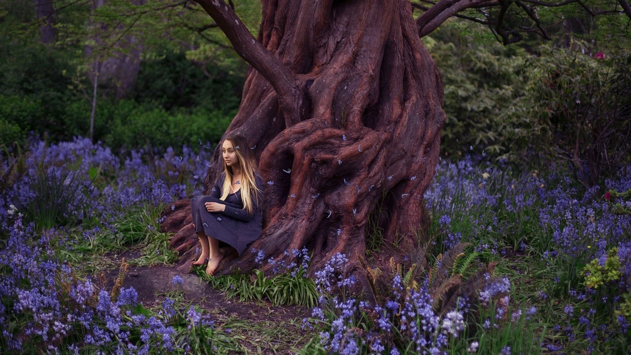 Обои цветы, дерево, девушка, платье, лепестки, корни, lichon, beacon hill, flowers, tree, girl, dress, petals, roots разрешение 2048x1365 Загрузить