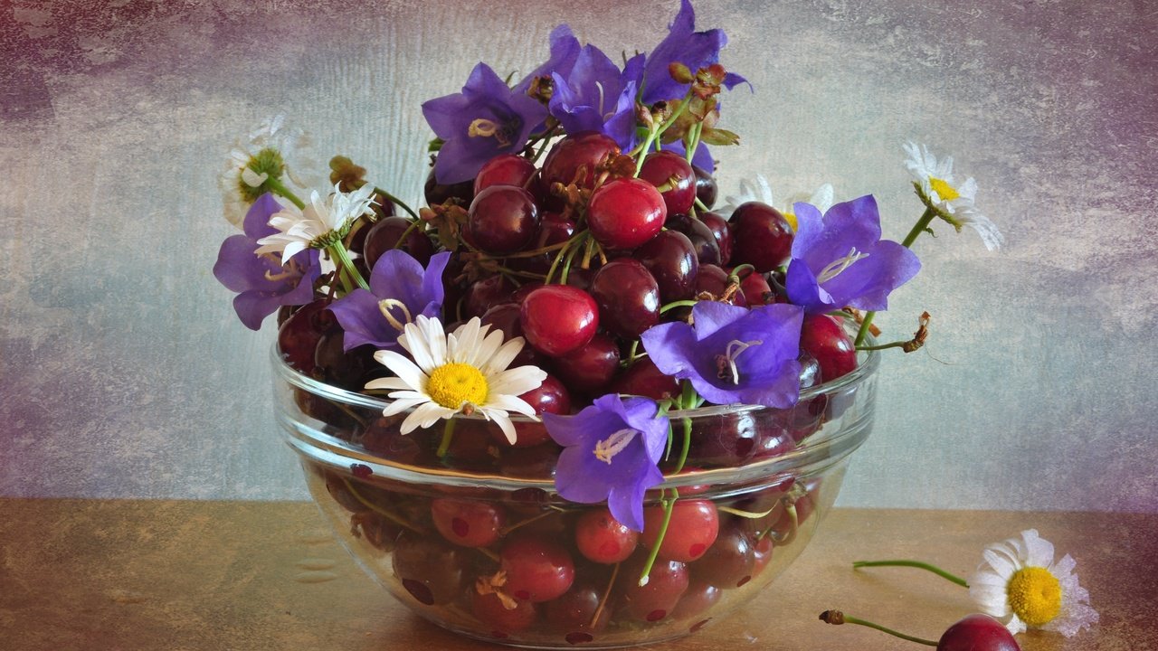 Обои цветы, черешня, ромашки, ягоды, вишня, колокольчик, flowers, cherry, chamomile, berries, bell разрешение 2400x1592 Загрузить