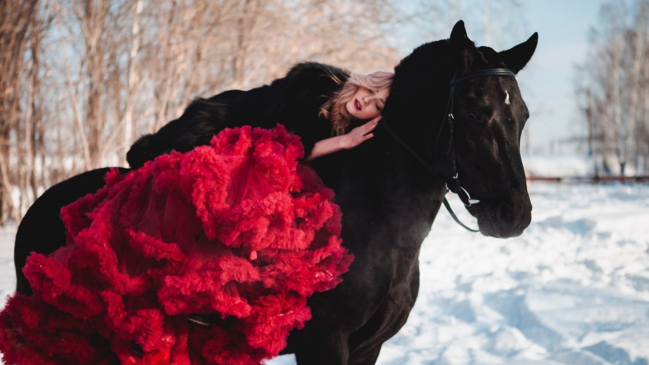 Обои лошадь, снег, зима, девушка, блондинка, юбка, конь, horse, snow, winter, girl, blonde, skirt разрешение 2560x1707 Загрузить