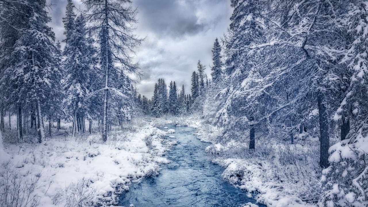 Обои река, природа, лес, зима, ручей, канада, квебек, river, nature, forest, winter, stream, canada, qc разрешение 2880x1800 Загрузить