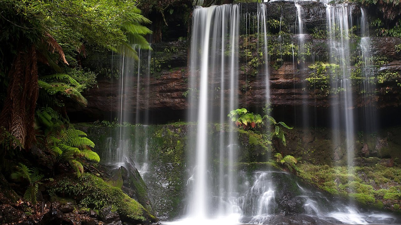 Обои водопад, австралия, тасмания, russell falls, mount field national park, waterfall, australia, tasmania разрешение 1920x1200 Загрузить