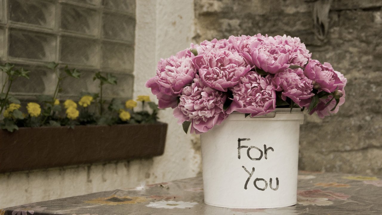 Обои цветы, лепестки, букет, розовые, ведро, пионы, flowers, petals, bouquet, pink, bucket, peonies разрешение 1920x1200 Загрузить