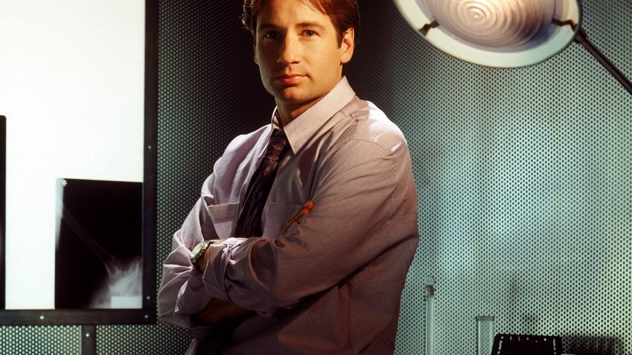 Обои актёр, фильм, лицо, мужчина, дэвид духовны, the x-files, fox mulder, actor, the film, face, male, david duchovny разрешение 1920x1080 Загрузить