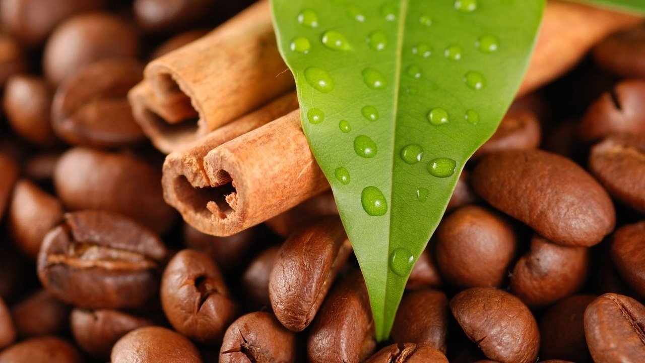 Обои капли, корица, кофе, листик, кофейные зерна, drops, cinnamon, coffee, leaf, coffee beans разрешение 1920x1080 Загрузить