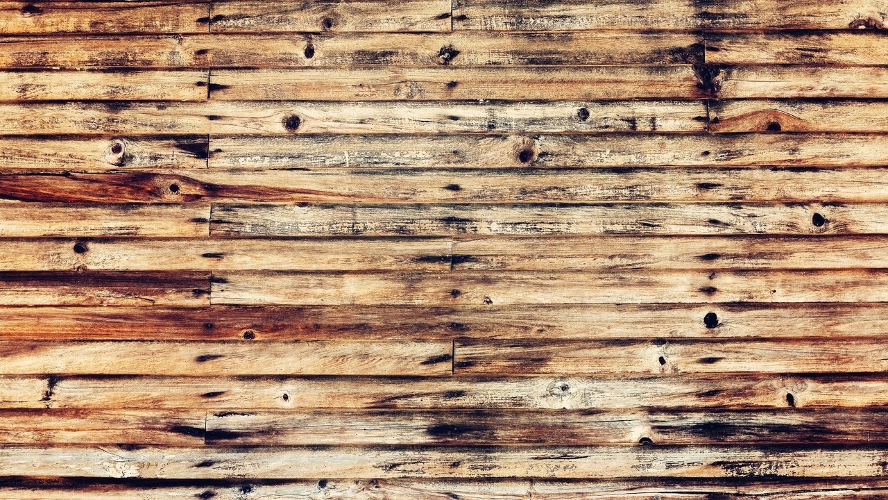 Обои дерево, текстура, доски, деревянный фон, tree, texture, board, wooden background разрешение 1920x1280 Загрузить