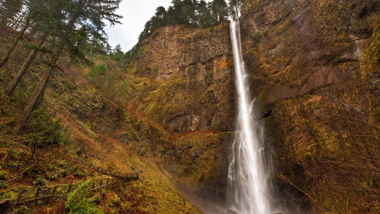 Обои деревья, скалы, водопад, сша, орегон, multnomah falls, водопад мультномах, trees, rocks, waterfall, usa, oregon разрешение 4077x2713 Загрузить