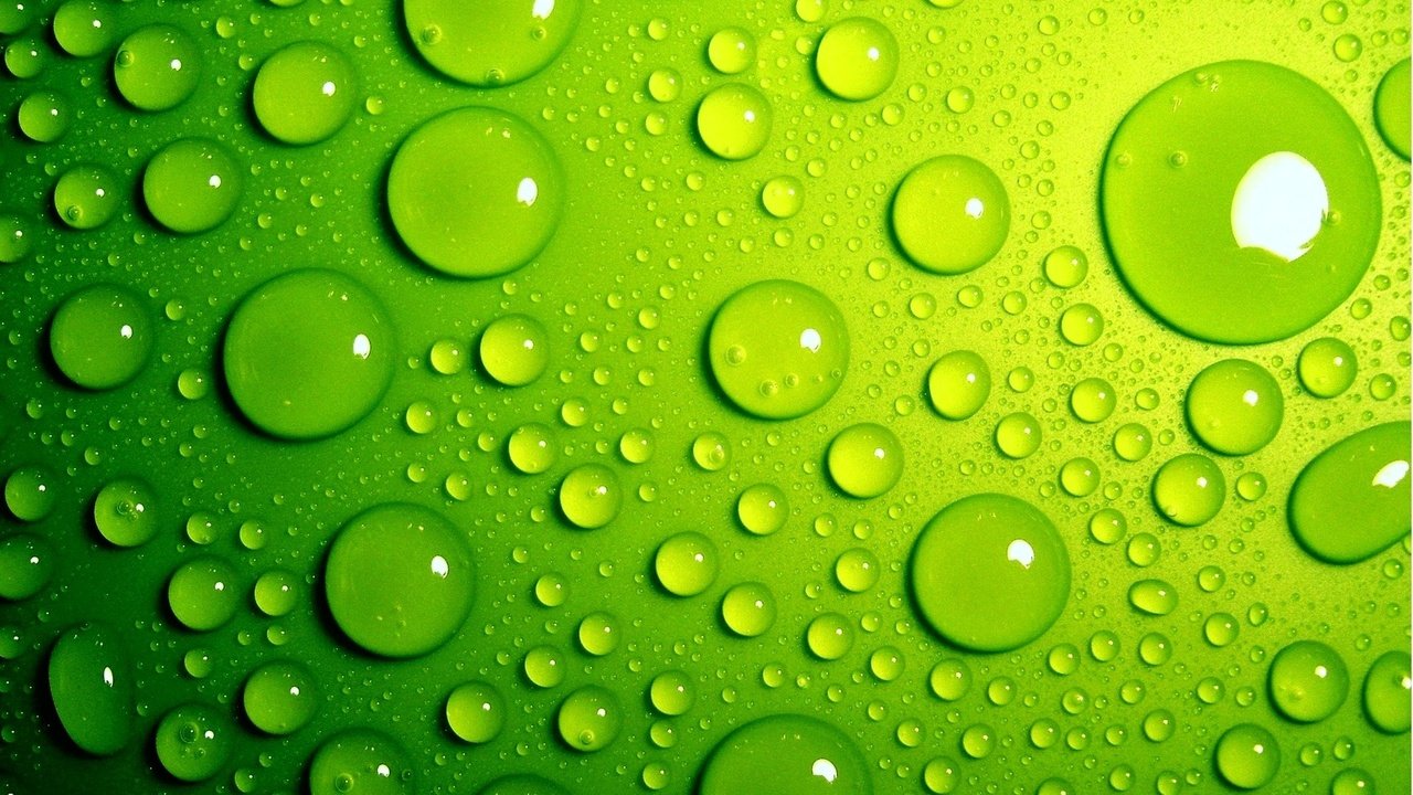Обои зелёный, фон, капли, цвет, капли воды, green, background, drops, color, water drops разрешение 1920x1200 Загрузить