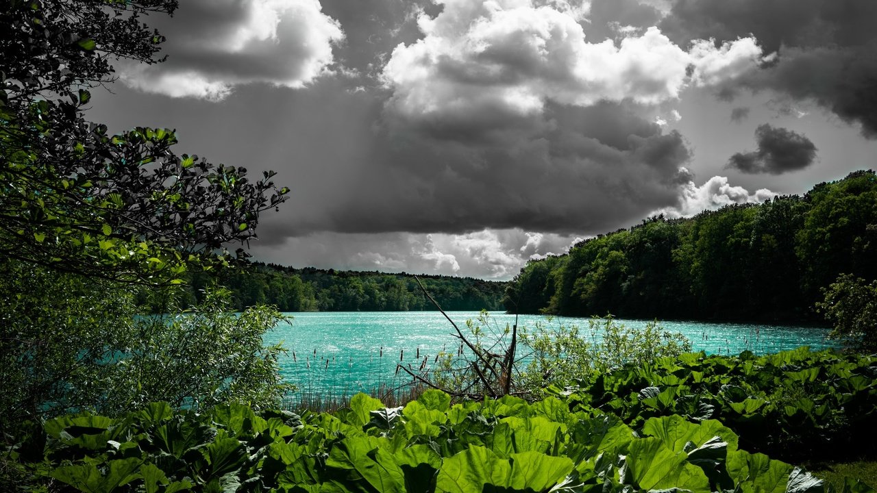 Обои облака, деревья, вода, озеро, растения, clouds, trees, water, lake, plants разрешение 2048x1194 Загрузить