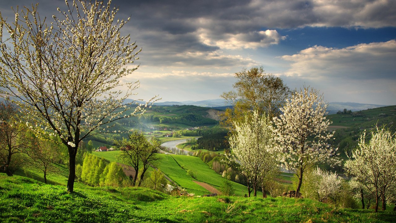 Обои деревья, река, природа, пейзаж, весна, trees, river, nature, landscape, spring разрешение 1920x1200 Загрузить