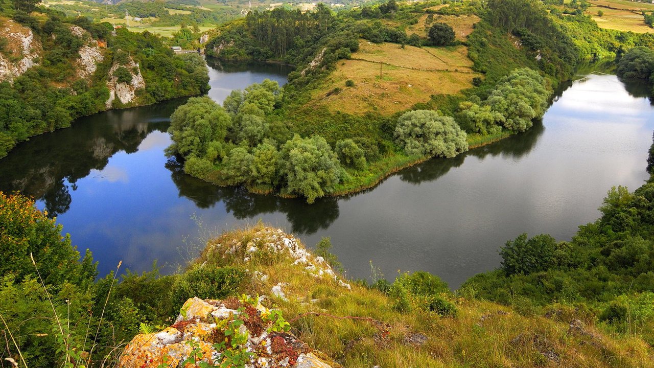 Обои река, природа, пейзаж, кусты, river, nature, landscape, the bushes разрешение 1920x1080 Загрузить