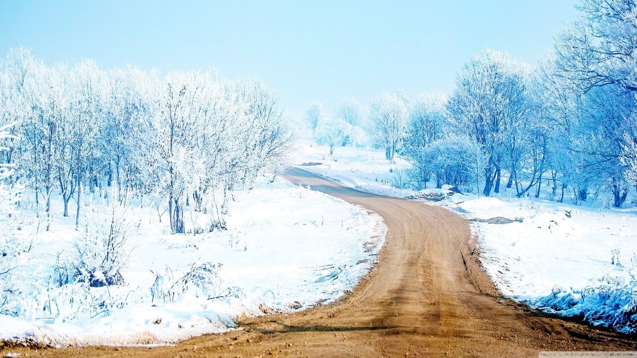 Обои дорога, деревья, снег, лес, зима, путь, road, trees, snow, forest, winter, the way разрешение 2560x1440 Загрузить