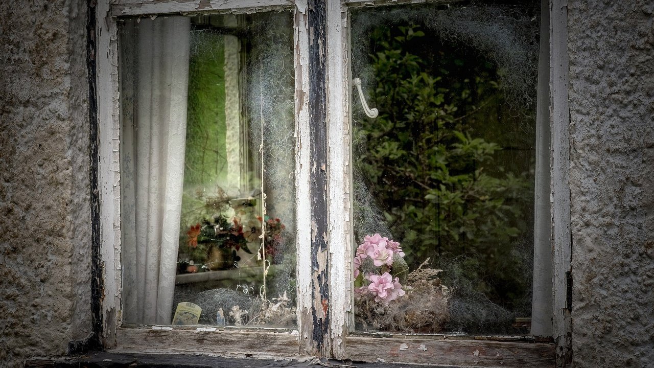 Обои цветы, отражение, дом, окно, стекло, flowers, reflection, house, window, glass разрешение 2035x1351 Загрузить