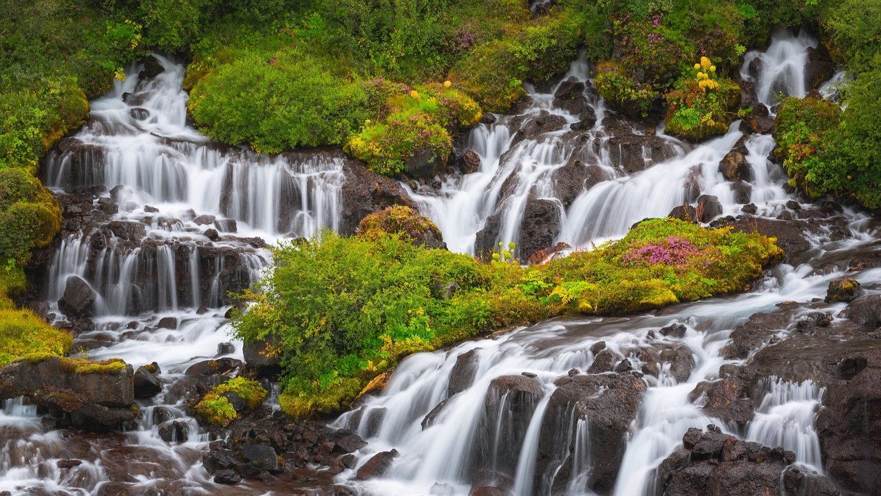 Обои исландия, водопады, каскад, hraunfossar, хрёйнфоссар, водопад хрейнфоссар, iceland, waterfalls, cascade разрешение 2048x1365 Загрузить