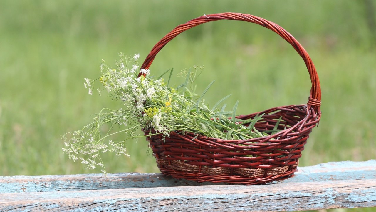 Обои фон, корзина, полевые цветы, лавочка, тысячелистник, background, basket, wildflowers, shop, yarrow разрешение 1920x1280 Загрузить