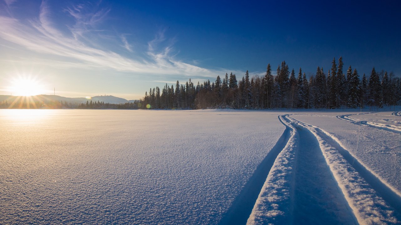 Обои снег, природа, лес, зима, дорожка, финляндия, snow, nature, forest, winter, track, finland разрешение 2000x1333 Загрузить