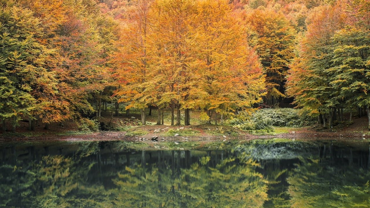 Обои река, природа, лес, отражение, осень, river, nature, forest, reflection, autumn разрешение 1920x1200 Загрузить