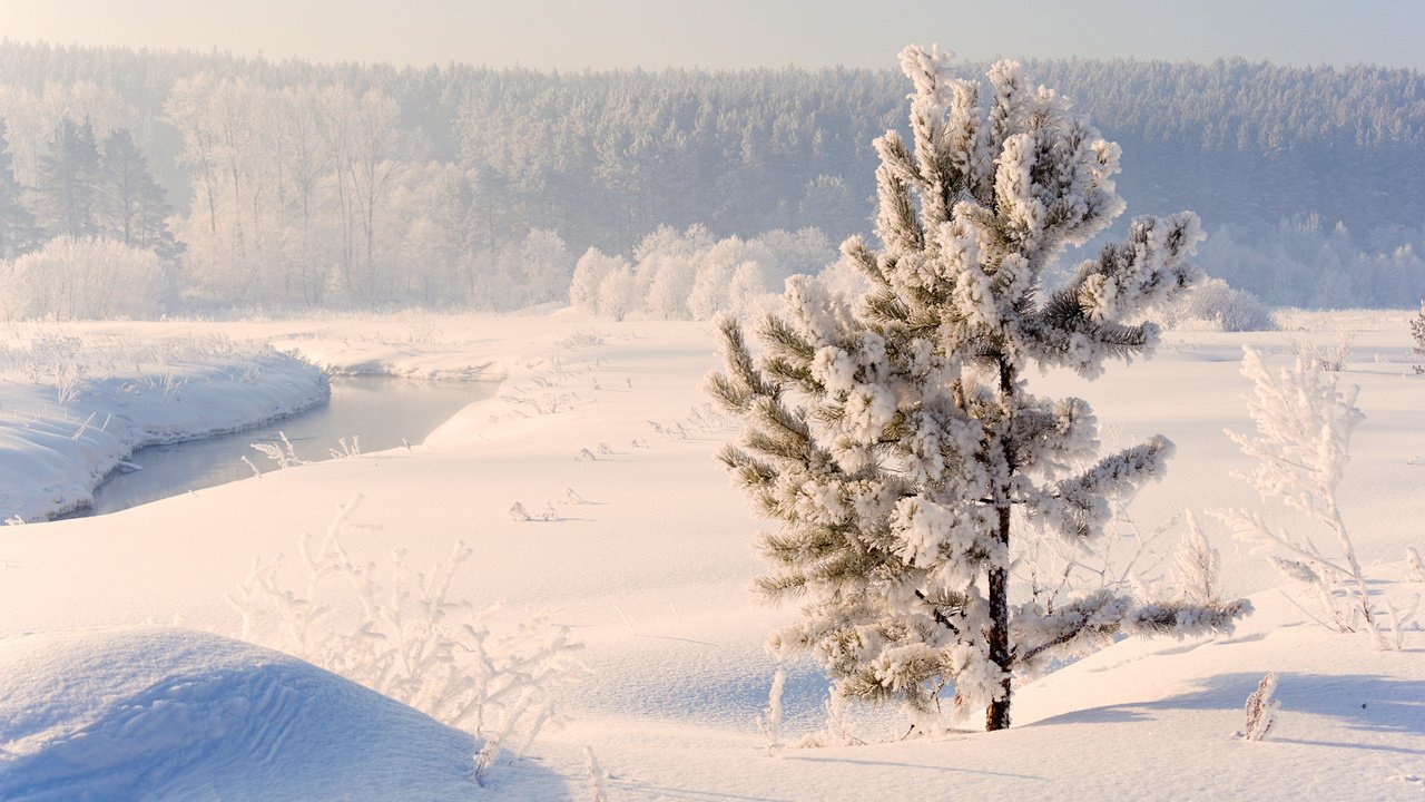 Обои река, снег, природа, зима, россия, сосна, урал, river, snow, nature, winter, russia, pine, ural разрешение 2560x1600 Загрузить