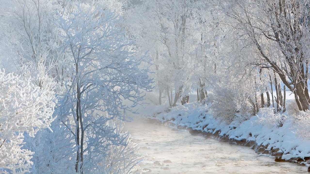 Обои деревья, река, природа, лес, зима, иней, trees, river, nature, forest, winter, frost разрешение 1920x1080 Загрузить