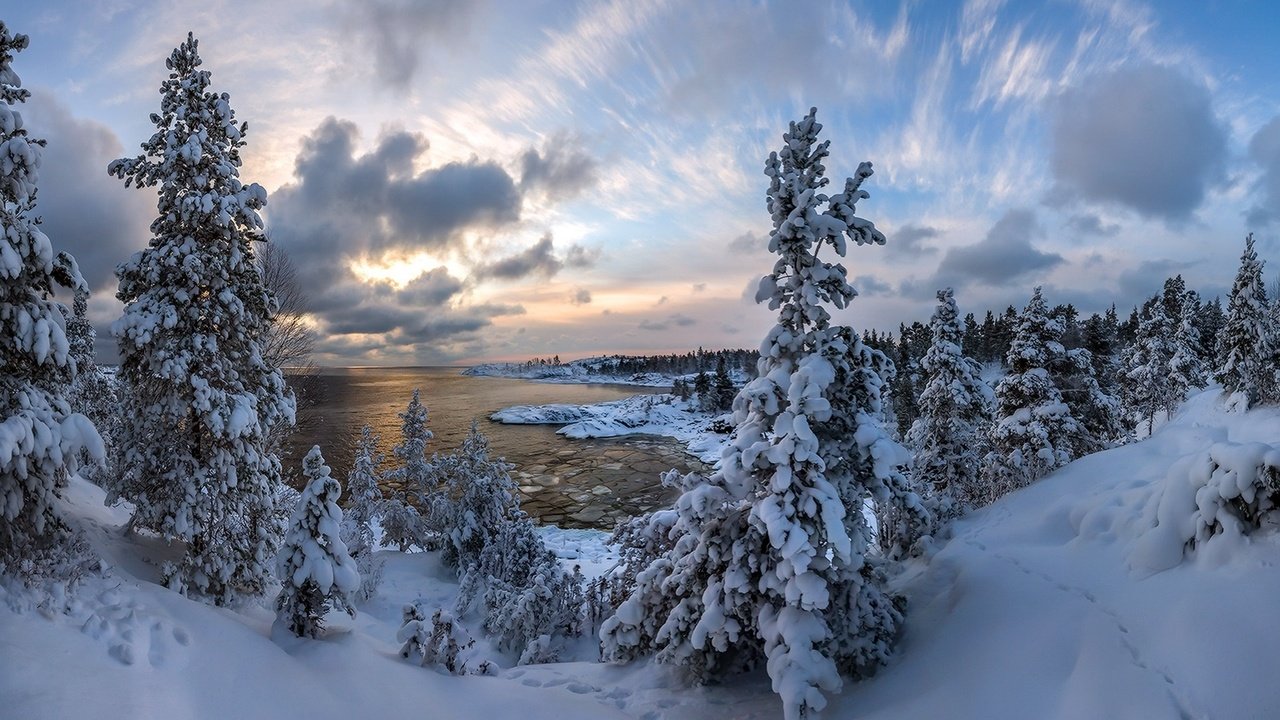 Обои небо, ладожское озеро, облака, озеро, снег, природа, лес, зима, елки, the sky, lake ladoga, clouds, lake, snow, nature, forest, winter, tree разрешение 1920x1200 Загрузить