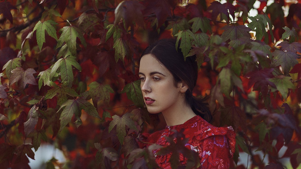 Обои листья, девушка, взгляд, осень, волосы, лицо, mara saiz, leaves, girl, look, autumn, hair, face разрешение 2048x1365 Загрузить