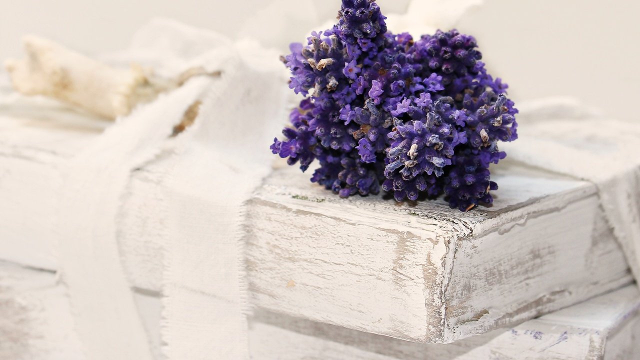 Обои цветы, лаванда, книги, лента, flowers, lavender, books, tape разрешение 5184x3135 Загрузить