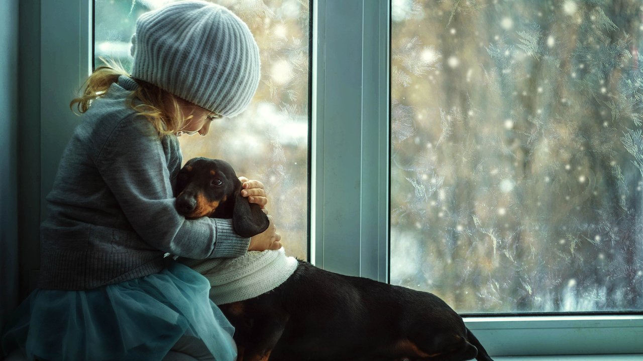 Обои дети, ребенок, шапка, окно, такса, друзья, cобака, gевочка, children, child, hat, window, dachshund, friends, dog, girl разрешение 4566x3282 Загрузить