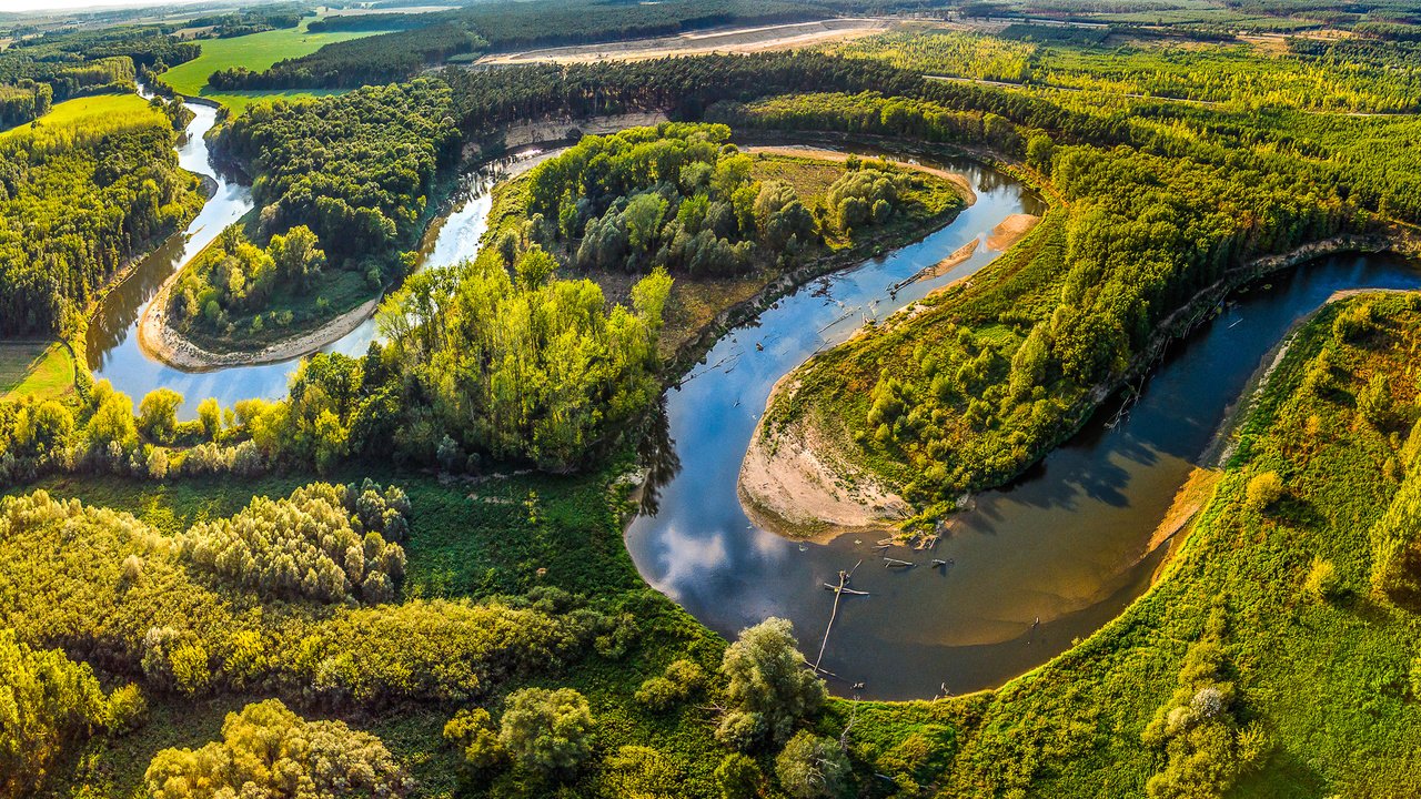 Обои деревья, леса, чехия, река, morava, солнце, straznice, зелень, лес, поля, лето, панорама, trees, czech republic, river, the sun, greens, forest, field, summer, panorama разрешение 2500x1188 Загрузить