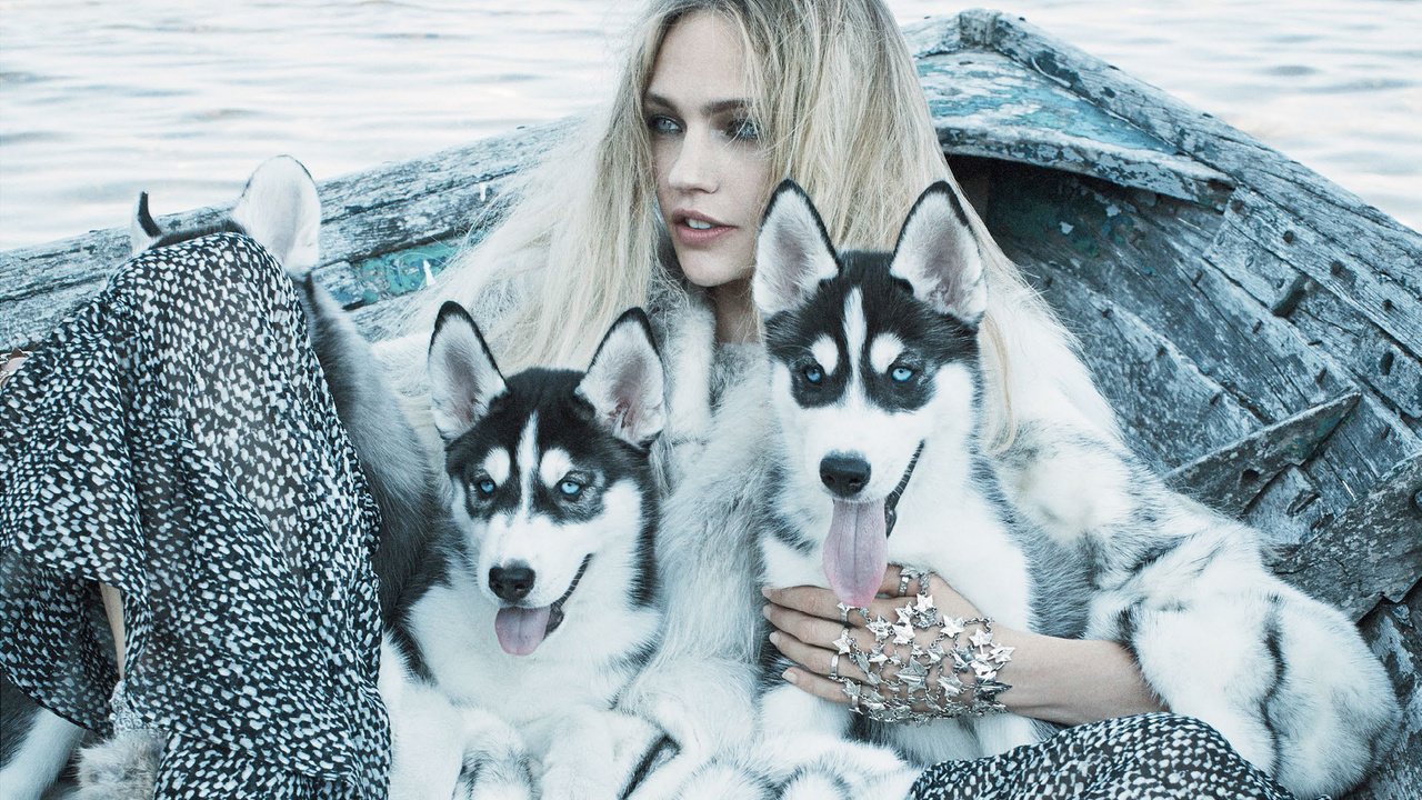 Обои девушка, блондинка, модель, хаски, щенки, vogue, саша пивоварова, girl, blonde, model, husky, puppies, sasha pivovarova разрешение 2317x1552 Загрузить