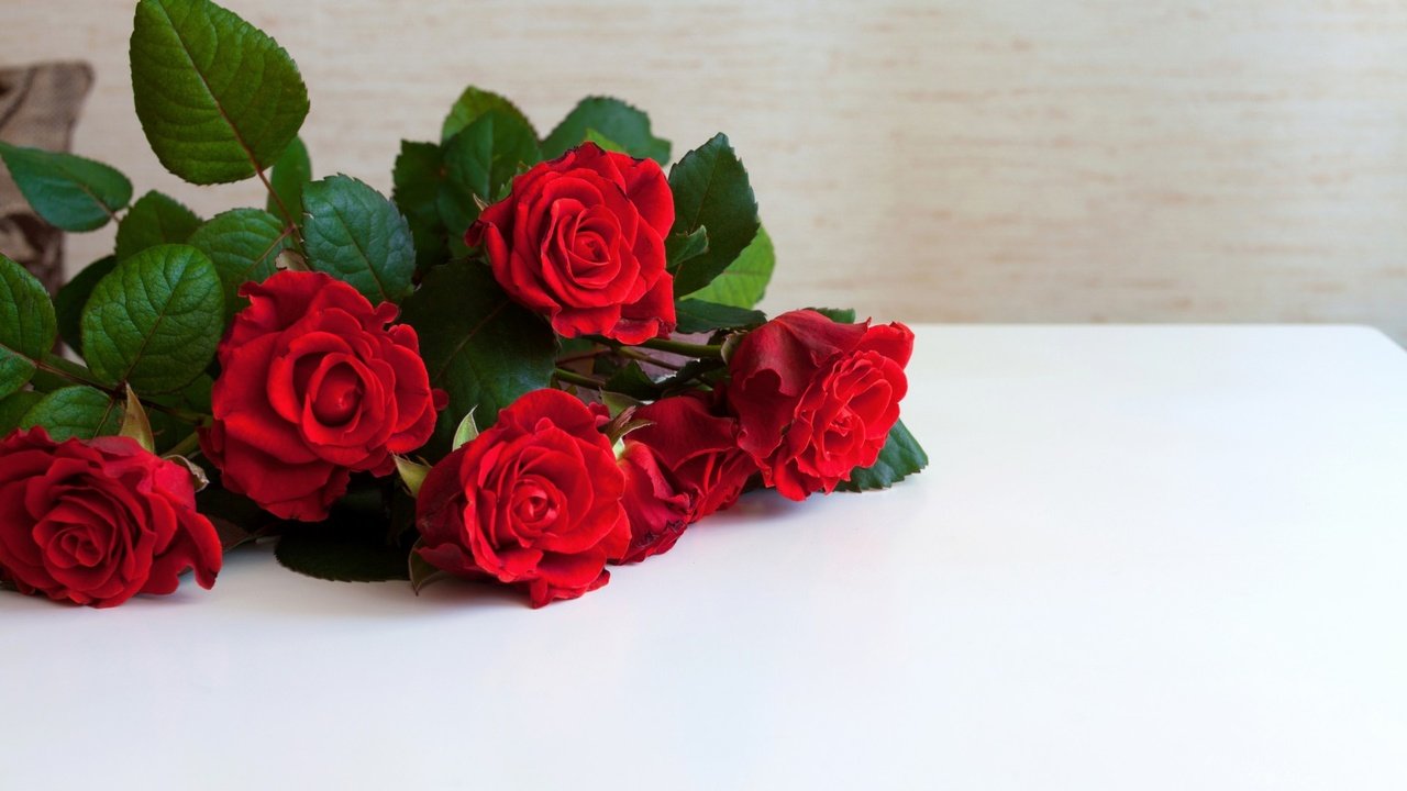 Обои цветы, розы, красные, flowers, roses, red разрешение 1920x1080 Загрузить
